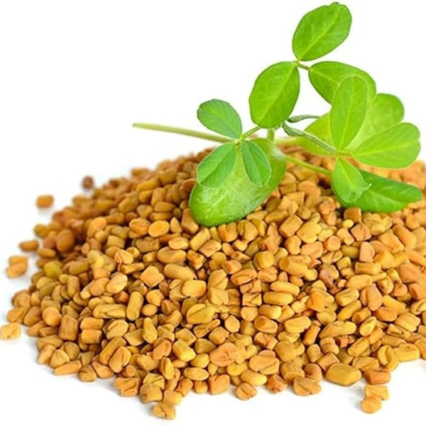 मेथी (Fenugreek)